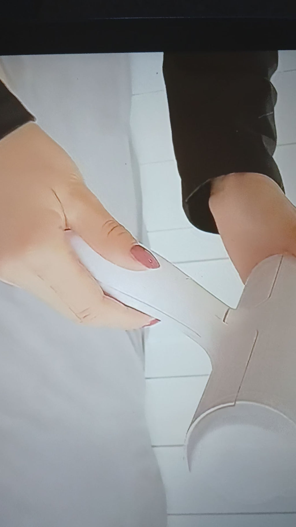 Pet hair remover